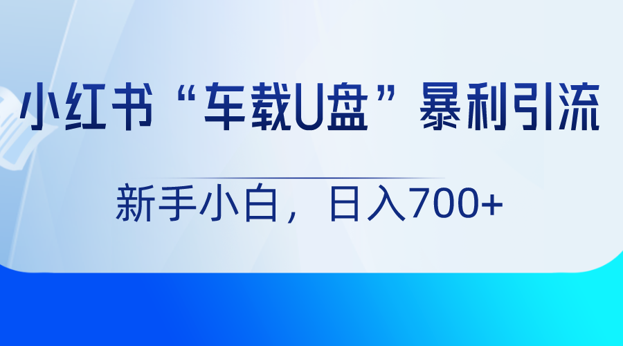 音乐流量变现！车载U盘项目，小红书上手即赚，日入700+！-前途喜乐资源网