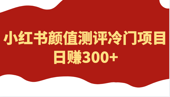 轻松赚钱新玩法！小红书颜值测评项目日入300+，价值4980的冷门项目赚钱攻略！-前途喜乐资源网