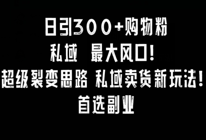 小红书首选副业！每日引300购物粉，超级裂变新思路！-前途喜乐资源网