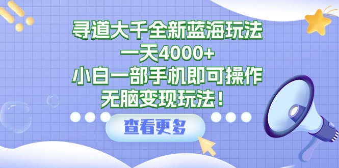 懒人致富秘籍：寻道大千全新蓝海玩法，小白也能月入过万-前途喜乐资源网