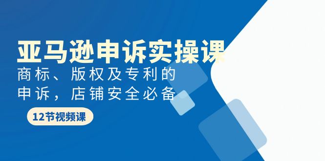 守护你的亚马逊商城：全方位申诉教程，适合新手到老手-前途喜乐资源网